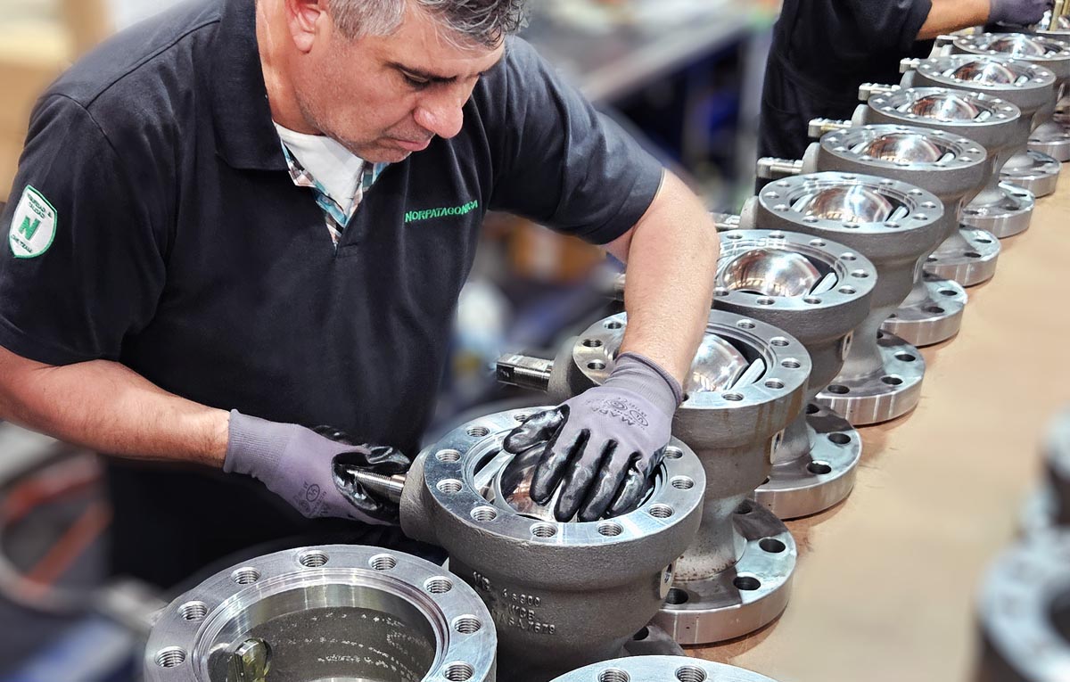 Solucion Norpatagonica Mantenimiento